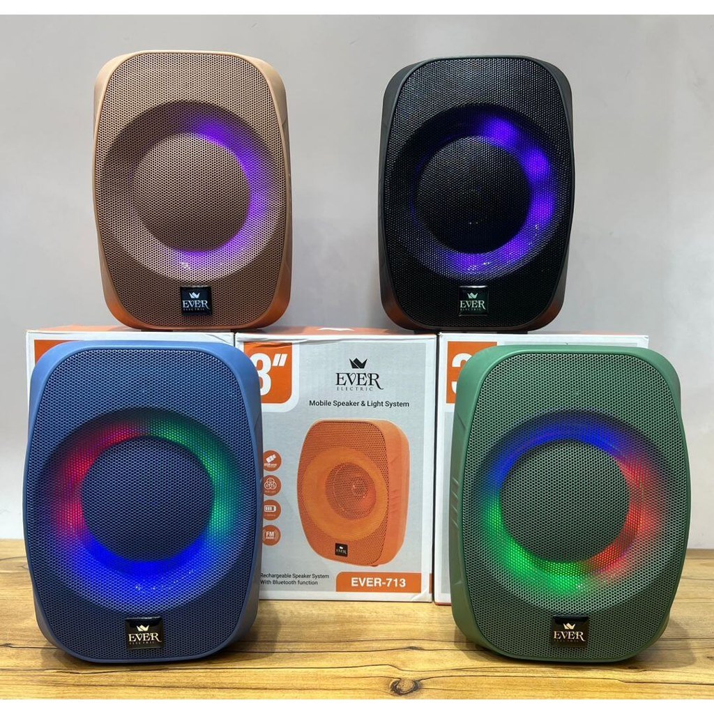 اسپیکر بلوتوثی قابل حمل 12 وات 3 اینچ EVER-713